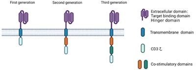 Xu hướng phát triển CAR trong trị liệu miễn dịch ung thư: từ CAR T, CAR NK đến CAR macrophage