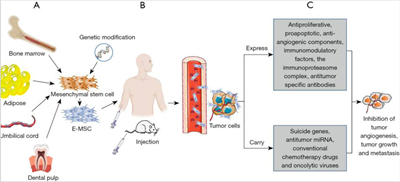 Kỷ nguyên mới của liệu pháp Gen và tế bào đối với Ung thư